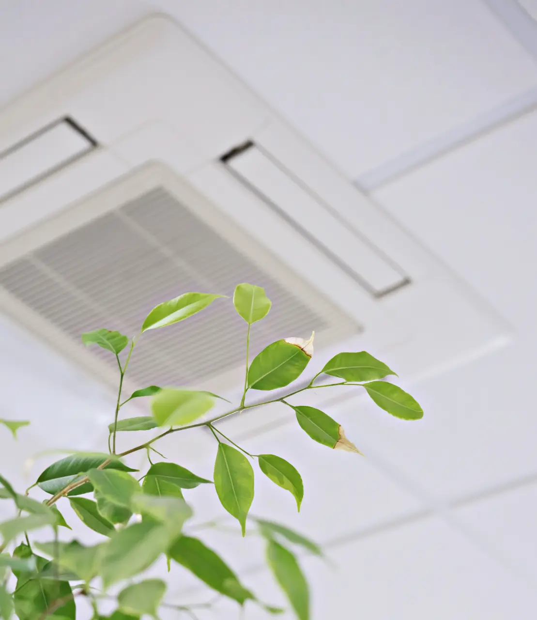 Wohnraumlüftung Winter Lüftungssysteme