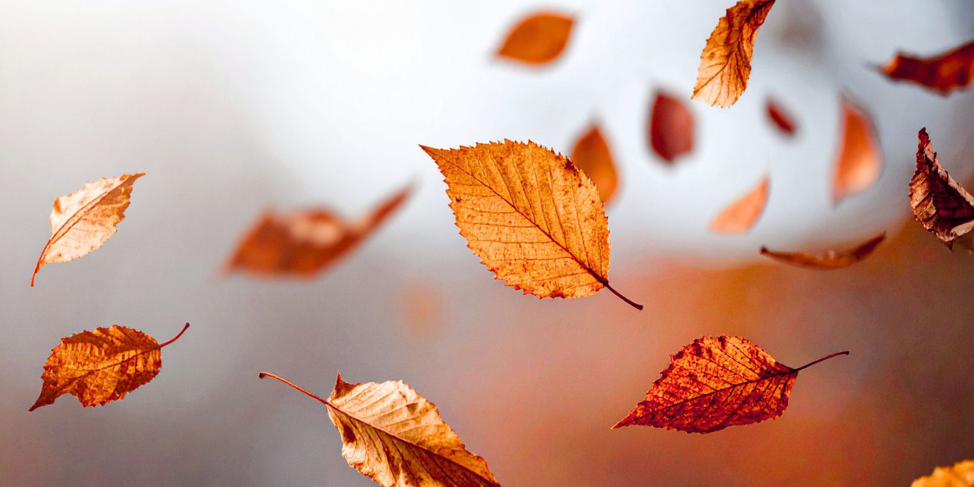 Richtig lüften im Herbst - Lüftungsservice Linz