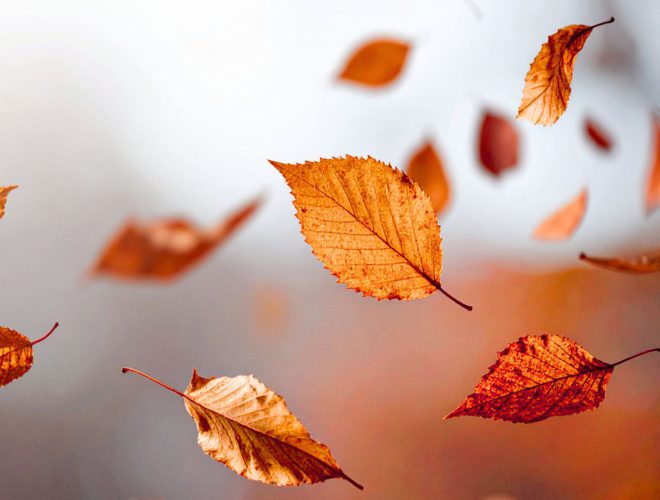 Richtig lüften im Herbst - Lüftungsservice Linz