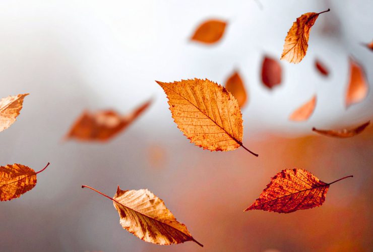 Richtig lüften im Herbst - Lüftungsservice Linz