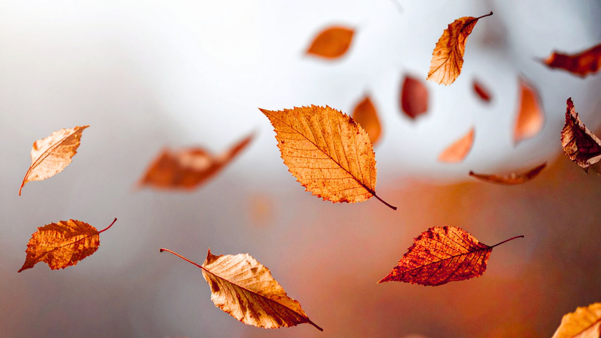 Richtig lüften im Herbst - Lüftungsservice Linz